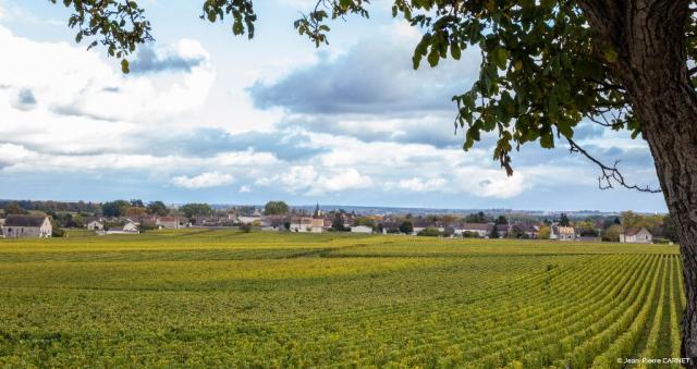 Photo de la commune de Puliny-Montrachet